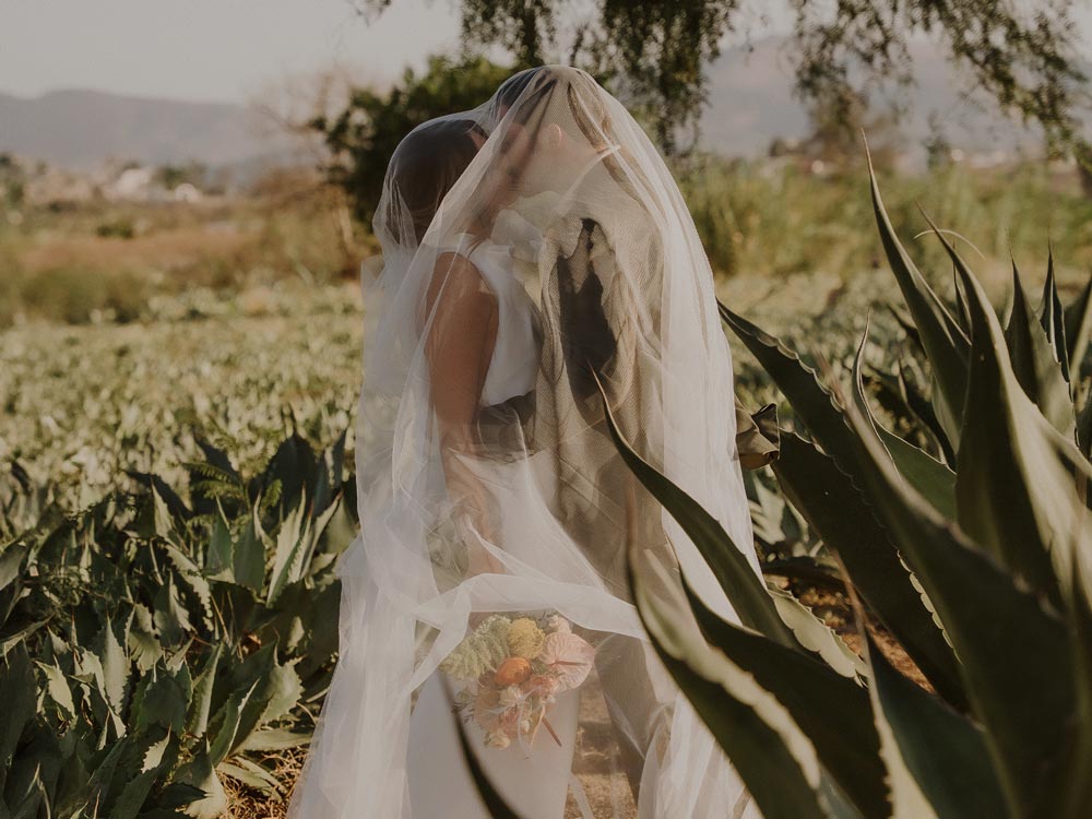 elopment-mezcal-oaxaca-wedding